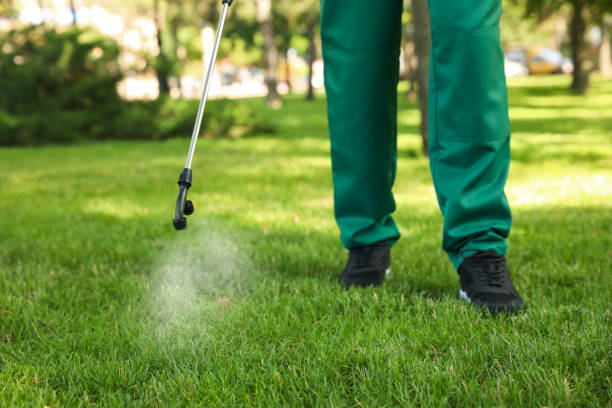 Reliable Great Falls Crossing, VA Pest Control Solutions