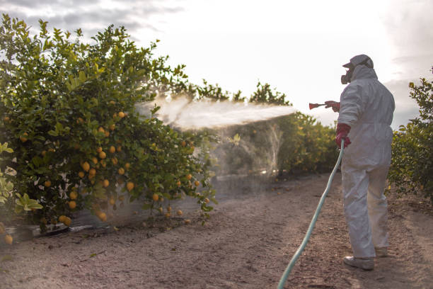 Best Affordable Pest Control Services  in Great Falls Crossing, VA