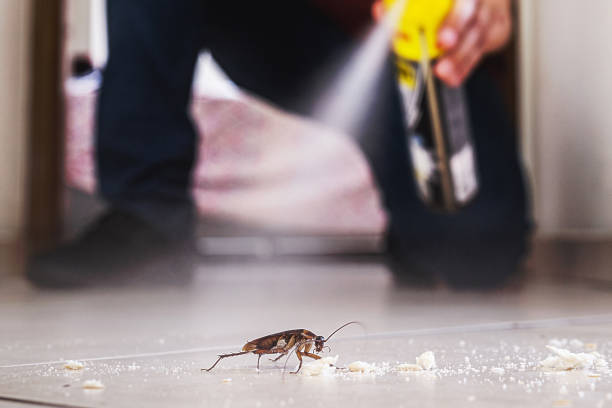 Best Flea Control Services  in Great Falls Crossing, VA